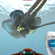 A reefback. They don’t...seem to be dangerous but who even knows anymore.
